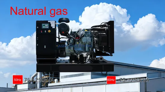 700kw 875kVA Natural/Biogas/Biomass/LPG/CNG/Propane/Methane/Hydrogen/Power Plant/Dual Fuel/Sewage/Coke/Syngas/Electric Power Generator Gas Genset